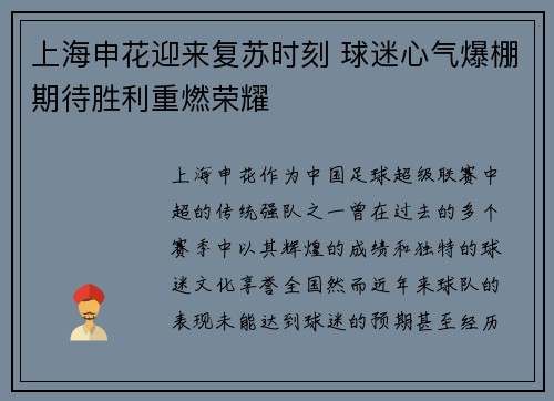 上海申花迎来复苏时刻 球迷心气爆棚期待胜利重燃荣耀