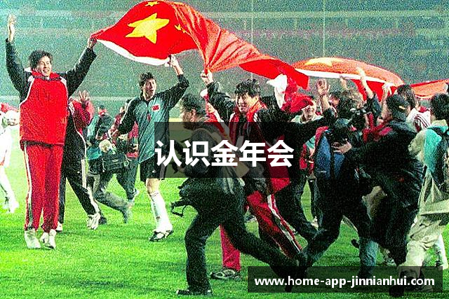 认识金年会